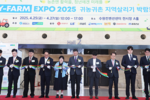 최고의 카지노 사이트