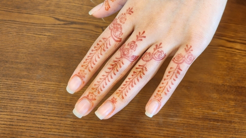 카지노사이트 순위