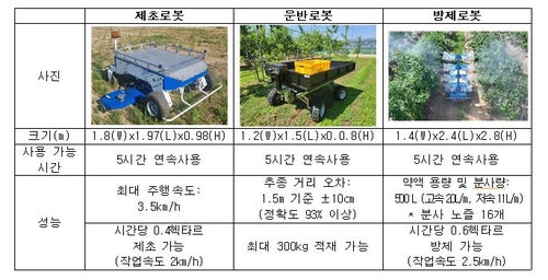 카지노사이트