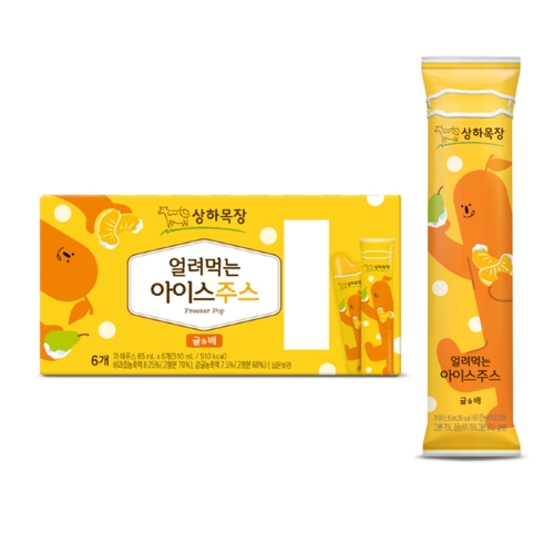 스포츠 토토