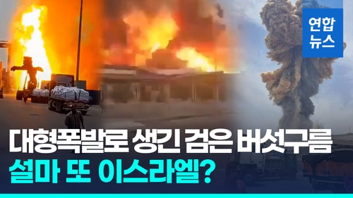 해외 카지노 사이트