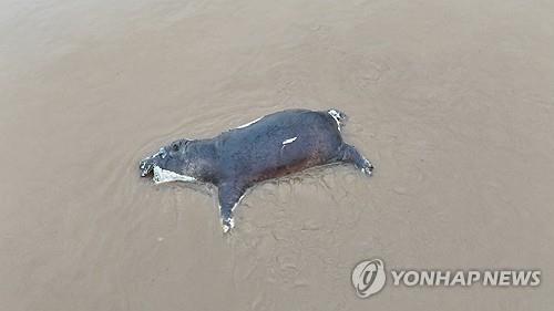 청소년 토토사이트 추천
