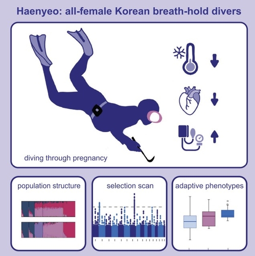 바카라 카지노 사이트