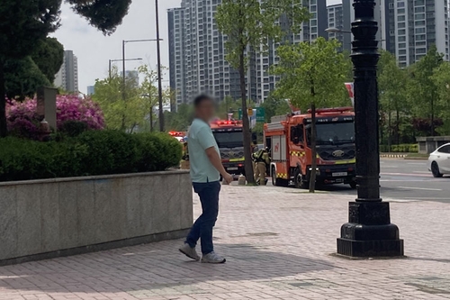 인터넷 바카라 사이트