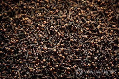 안전토토사이트