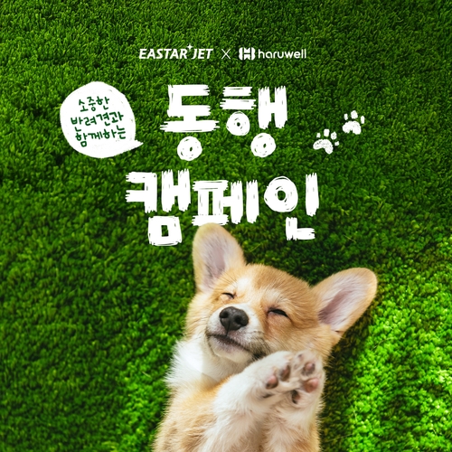 바카라 사이트