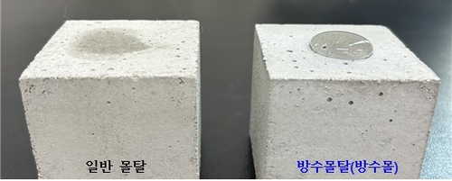 안전토토사이트
