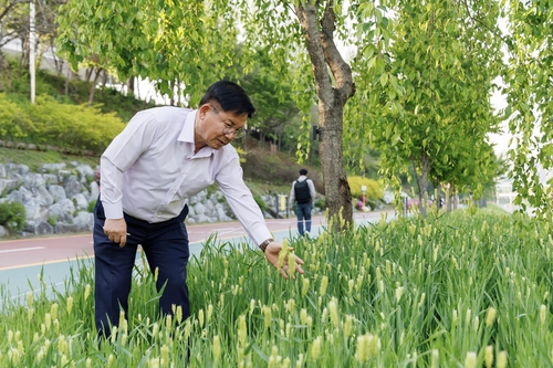 바카 랏