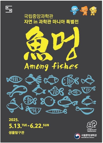 바카라 분석