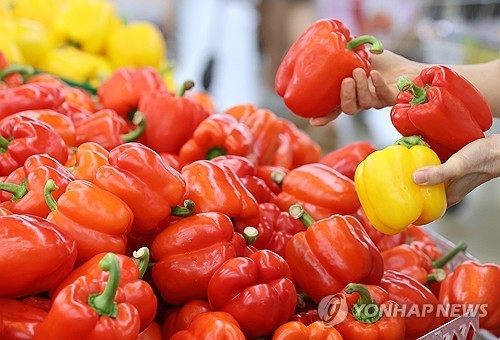 호빵맨토토