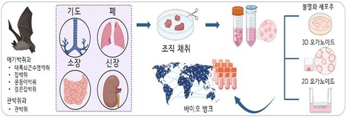 카지노사이트 순위