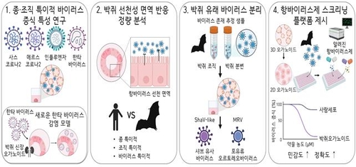 카지노사이트 순위