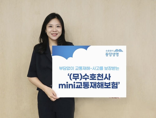 라이브카지노