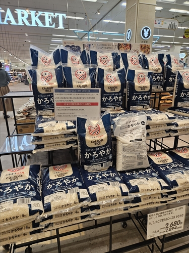 스포츠 토토사이트 순위