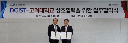 도브카지노
