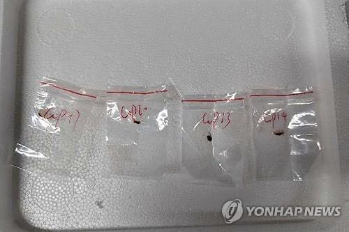 올림피아토토