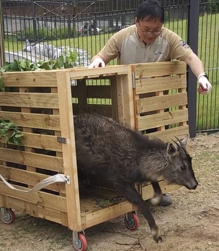 위너 토토