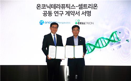 하이브카지노