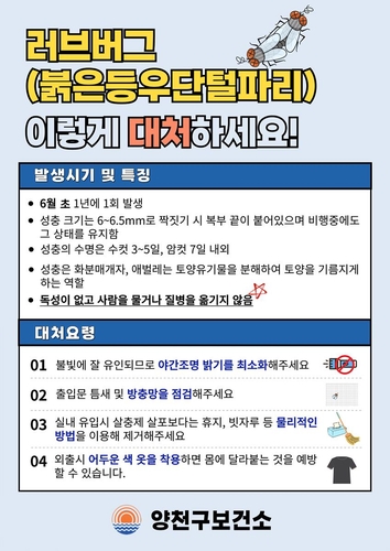 토토 바카라