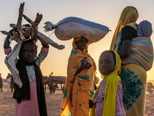 온라인 카지노 사이트