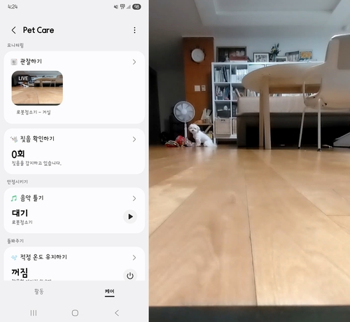 무료 토토사이트