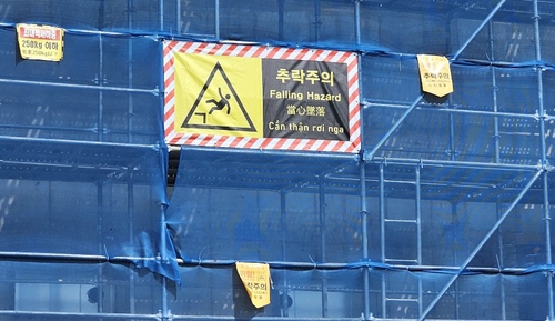 스포츠 토토