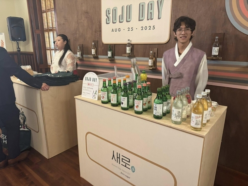 해외 카지노 사이트