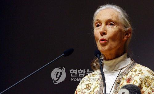 토토 사이트