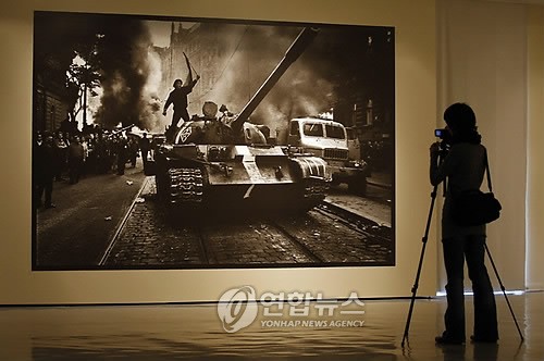 해외 카지노 사이트