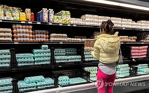 카지노 게임 사이트
