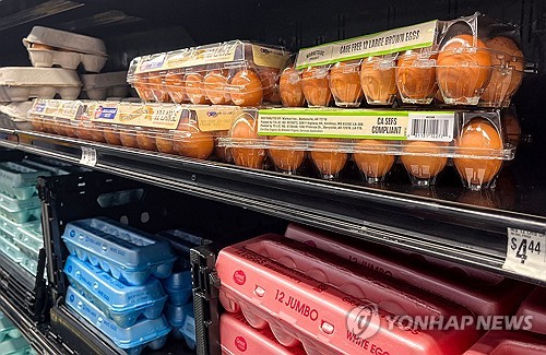 돌핀슬롯