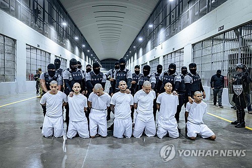 토토 사이트 추천