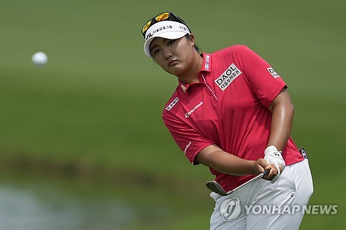 토토 라이브 스코어