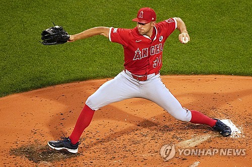 미슐랭카지노