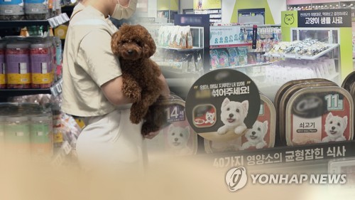 해외 카지노 사이트