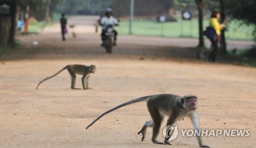 스포츠 토토 사이트 추천