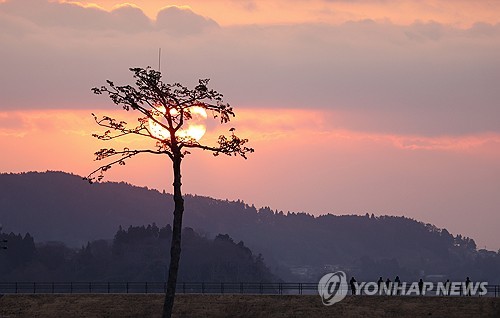카지노사이트 순위