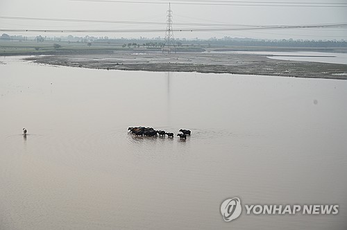 홀덤