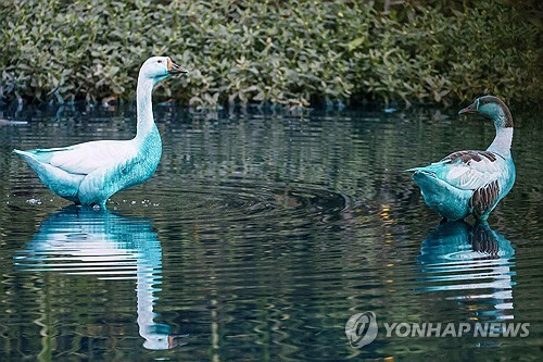 카지노 사이트 꽁머니