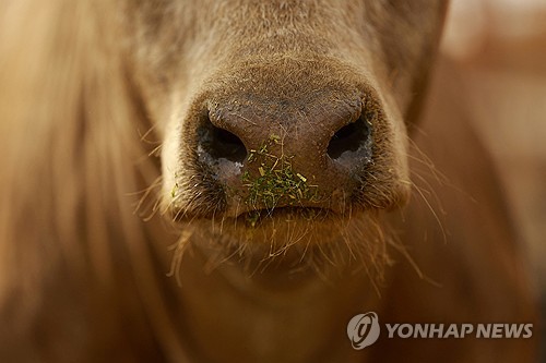 사설 토토사이트