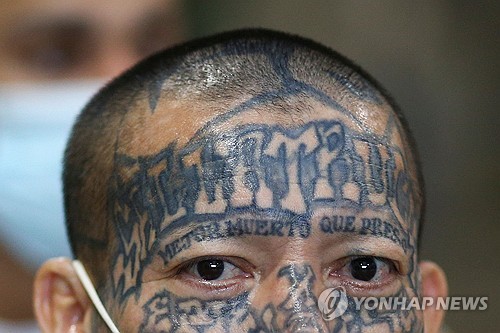 온라인카지노