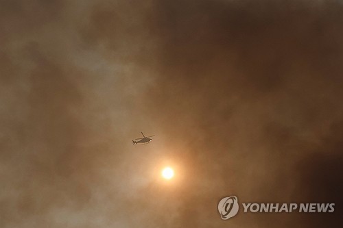 토토 라이브 스코어
