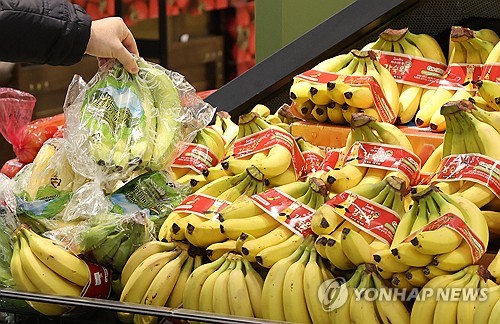 토토 바카라
