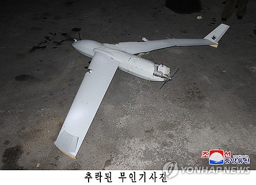 카지노 사이트
