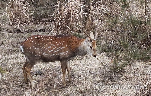 토토사이트