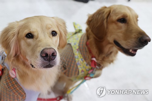 사설 토토사이트