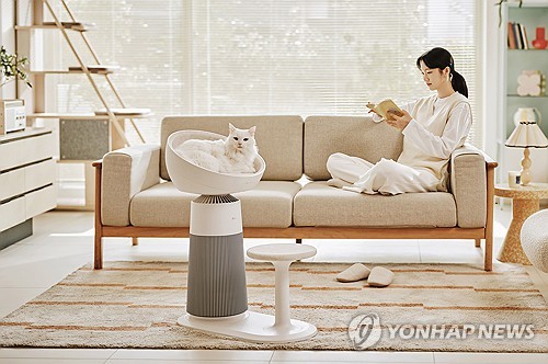 무료 토토사이트