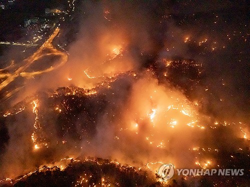 온라인 카지노 사이트