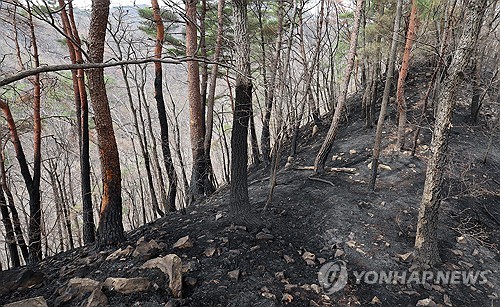 해외 카지노 사이트