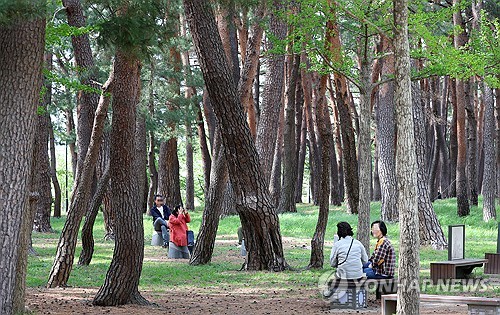 사설 토토사이트
